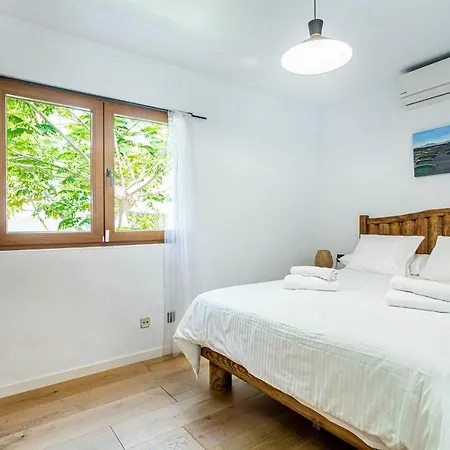 Olive Tree Playa Blanca (Lanzarote)