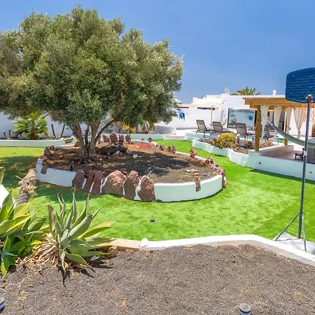 Olive Tree Playa Blanca (Lanzarote)