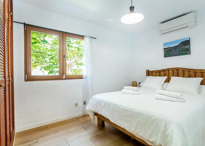 Olive Tree Playa Blanca (Lanzarote)