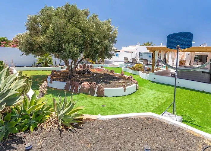 Olive Tree Playa Blanca (Lanzarote)