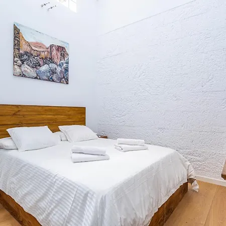 Olive Tree 빌라 플라야블랑카